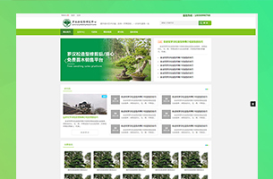 eyoucms资讯+官网模板含视频及商城