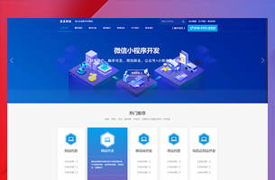 某某网络公司营销型官网