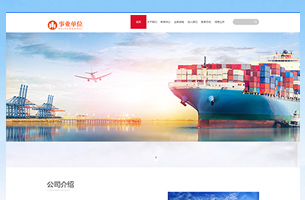 某企业官网集团官网贸易公司模板