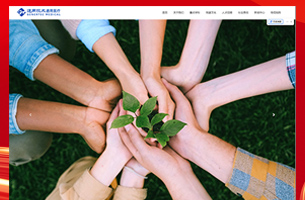 集团公司股份公司企业官网响应式官网