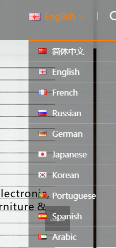 更新一个隐藏标签(图1)