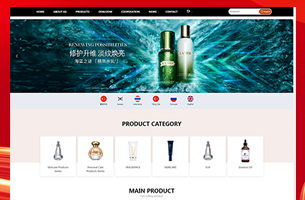 某化妆品原创自适应外贸模板多语言