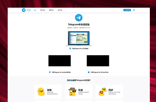 Telegram中文下载推广网站模板